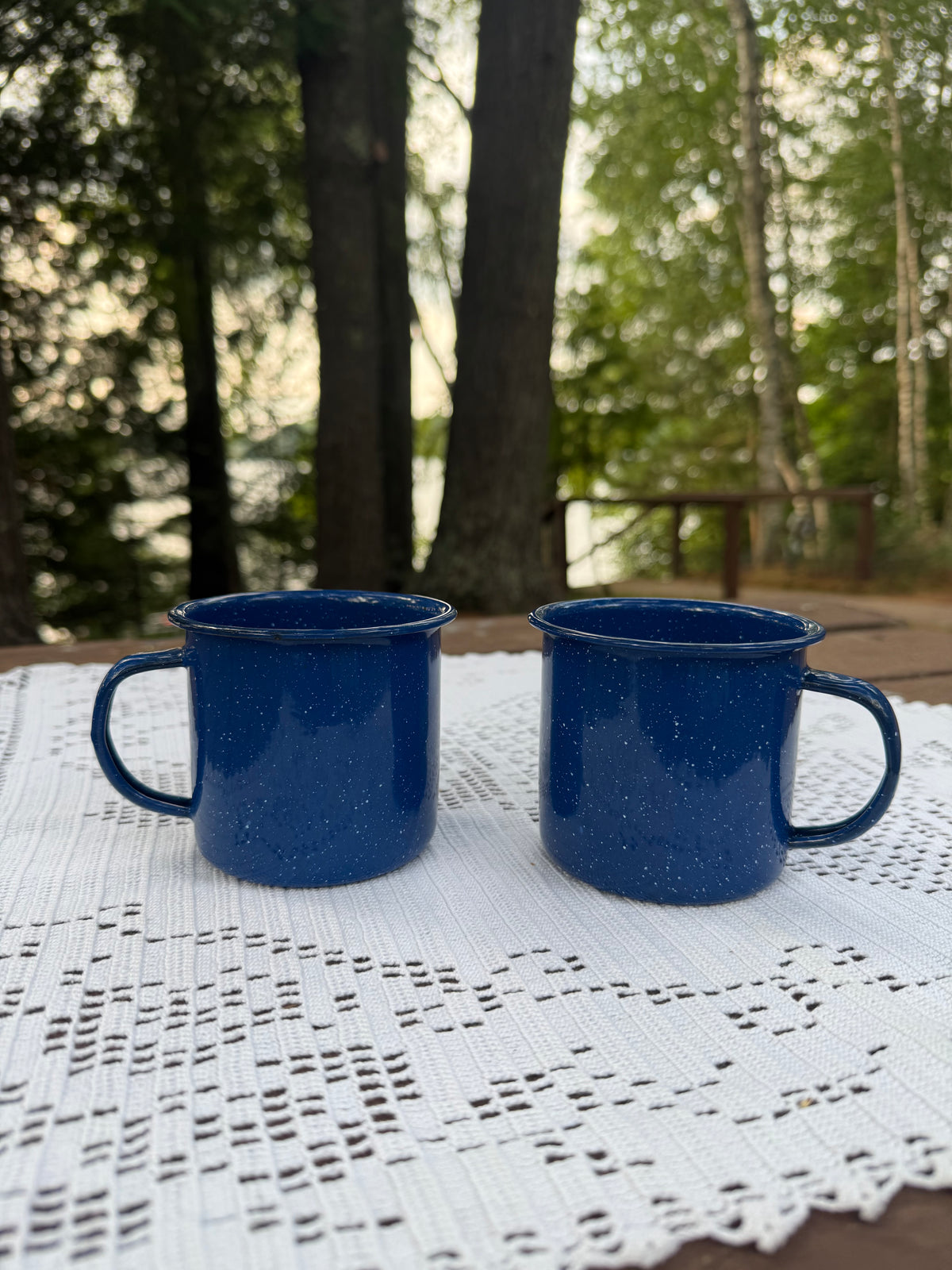 Blue Speckled Camping Mugs