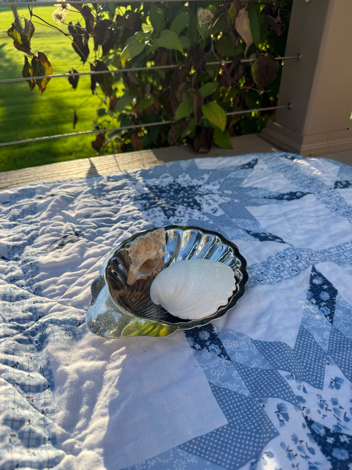 Silver Shell Dish