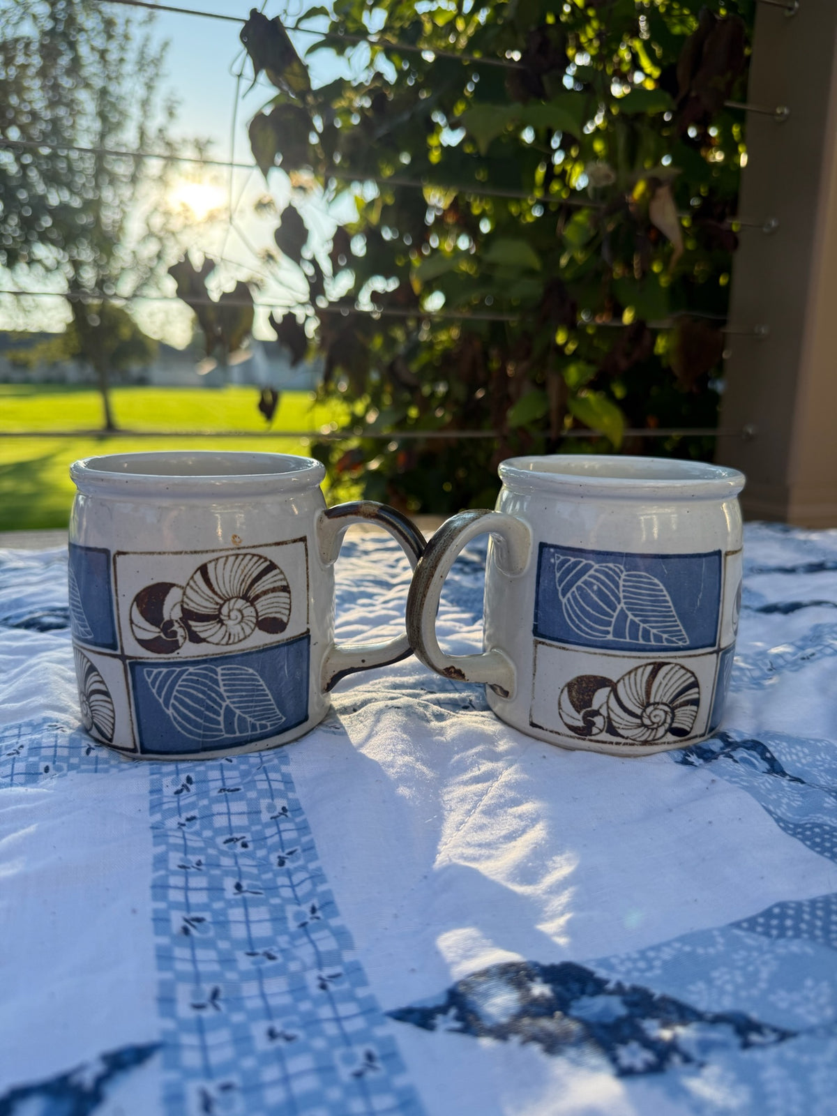 Shell Mugs