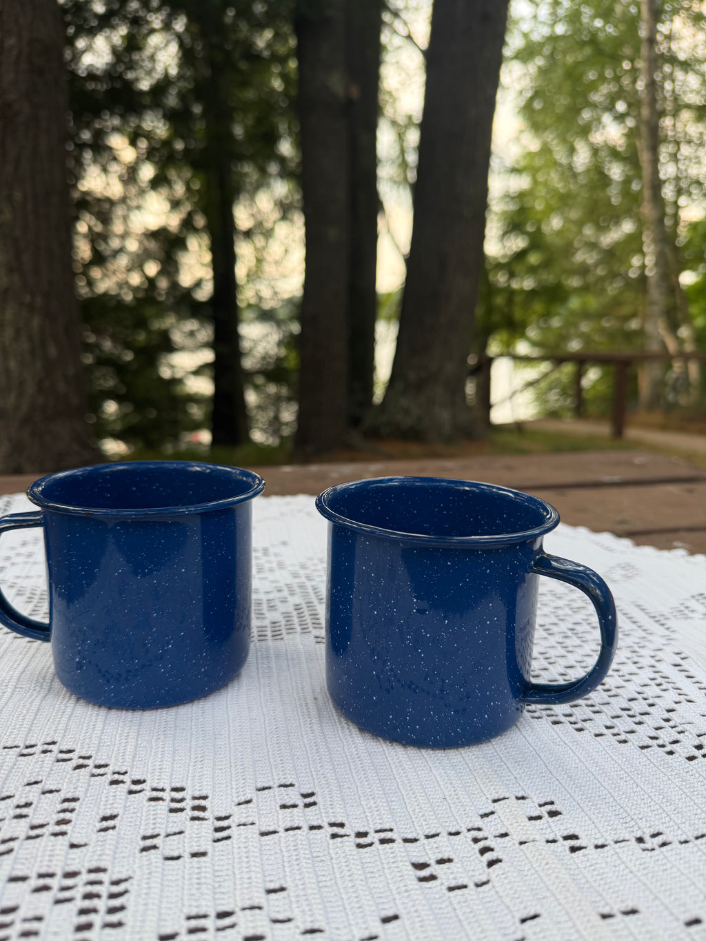 Blue Speckled Camping Mugs