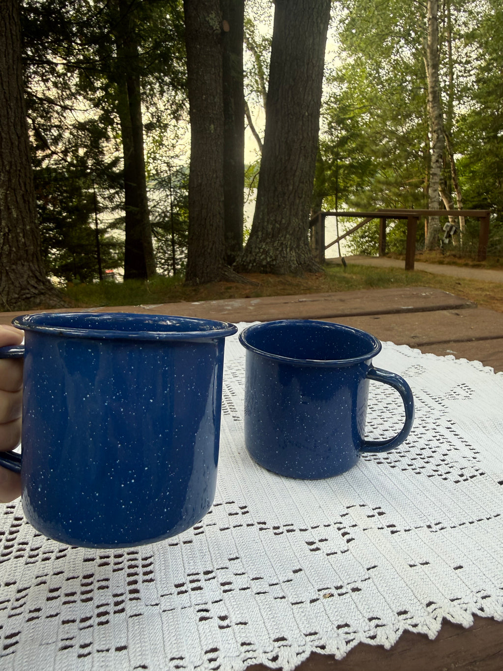 Blue Speckled Camping Mugs