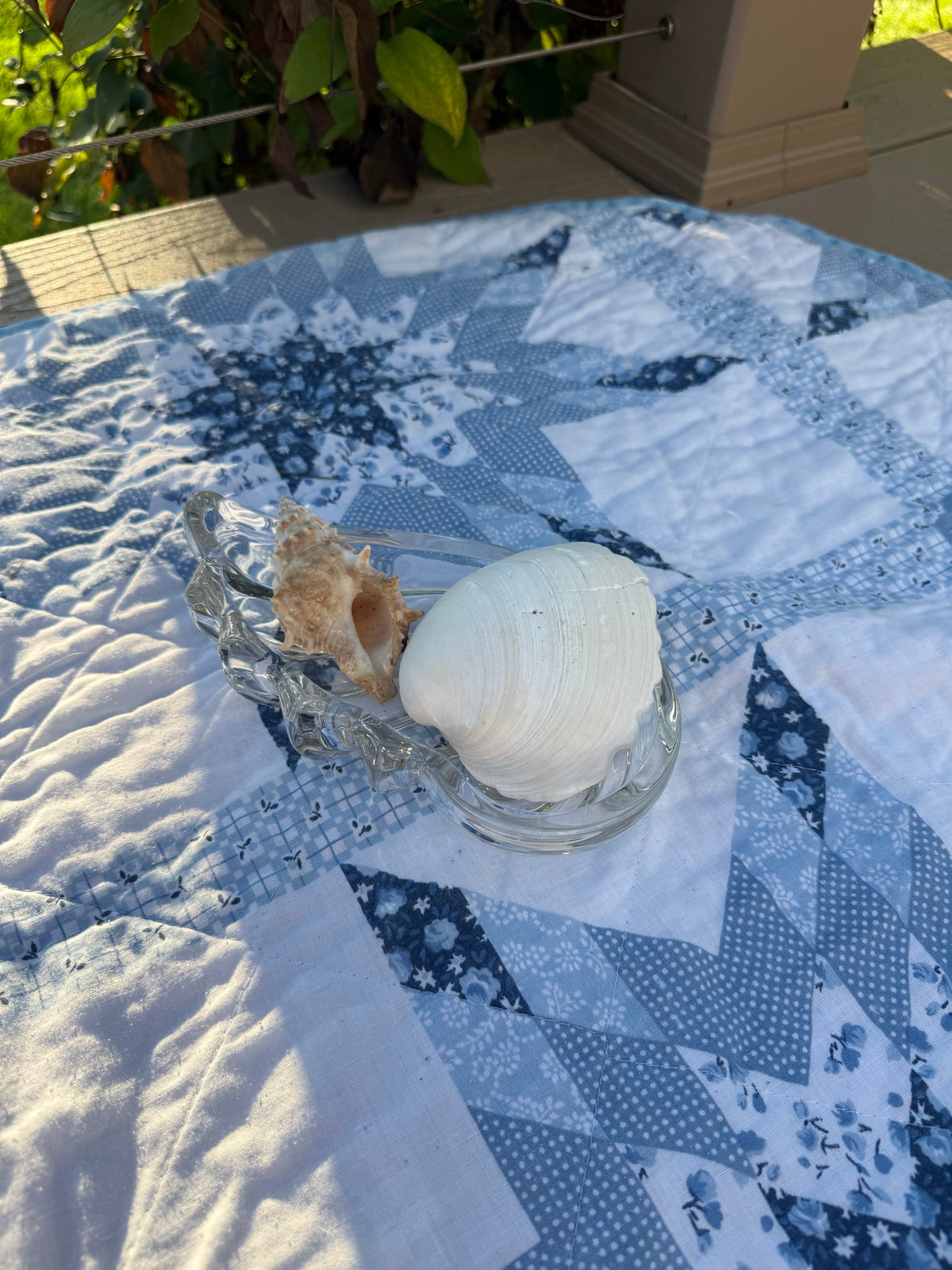 Glass Shell Tray