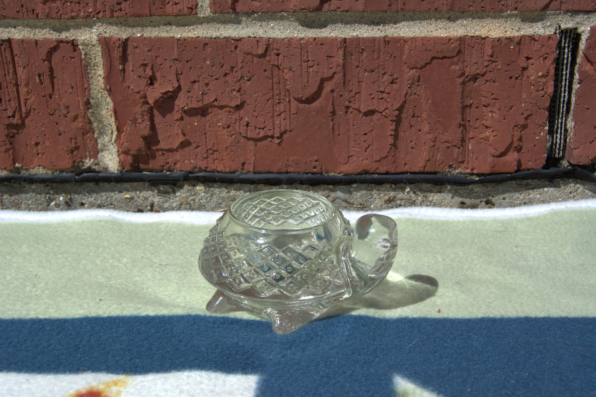 Turtle Tealight