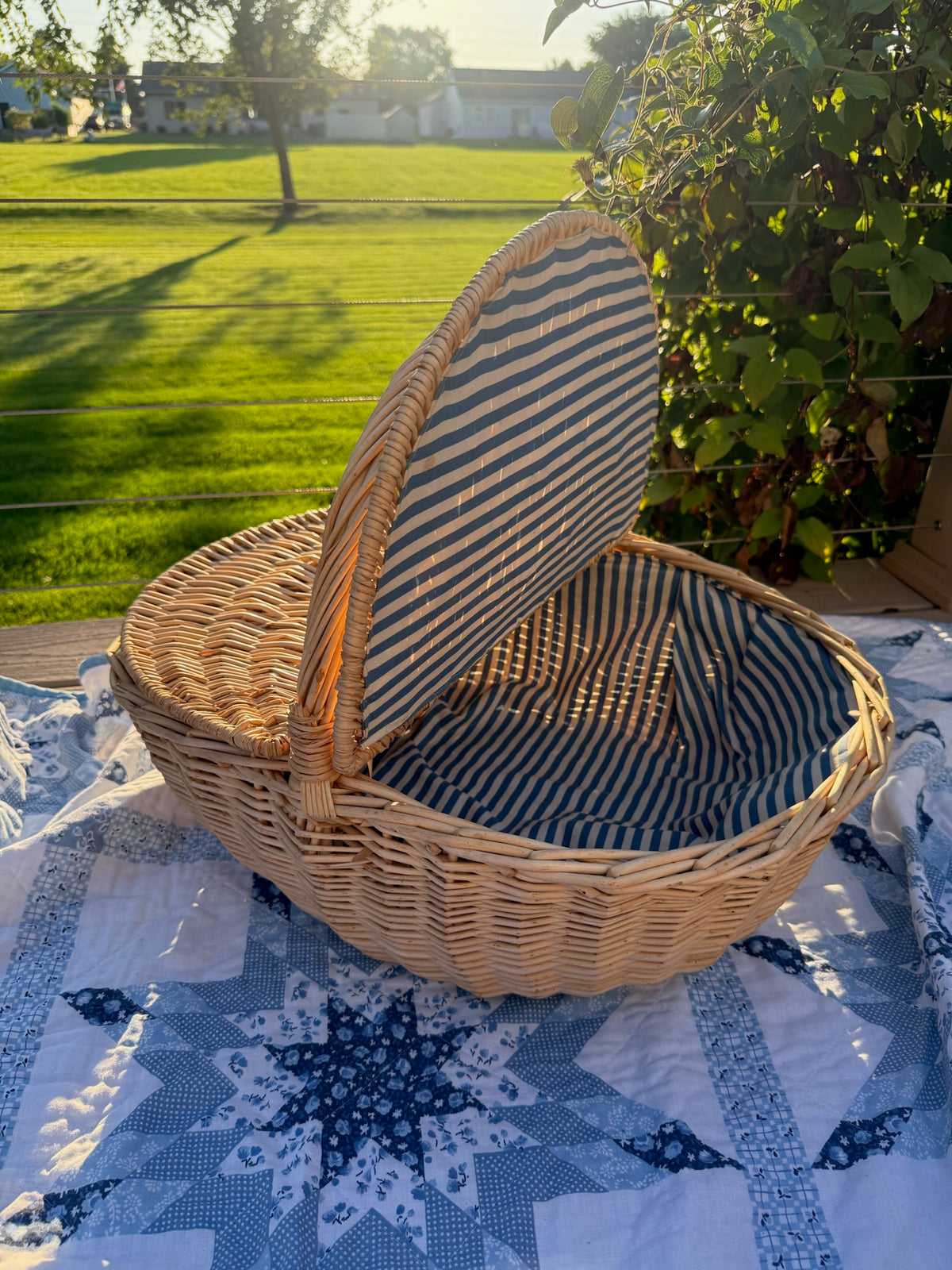 Picnic Basket